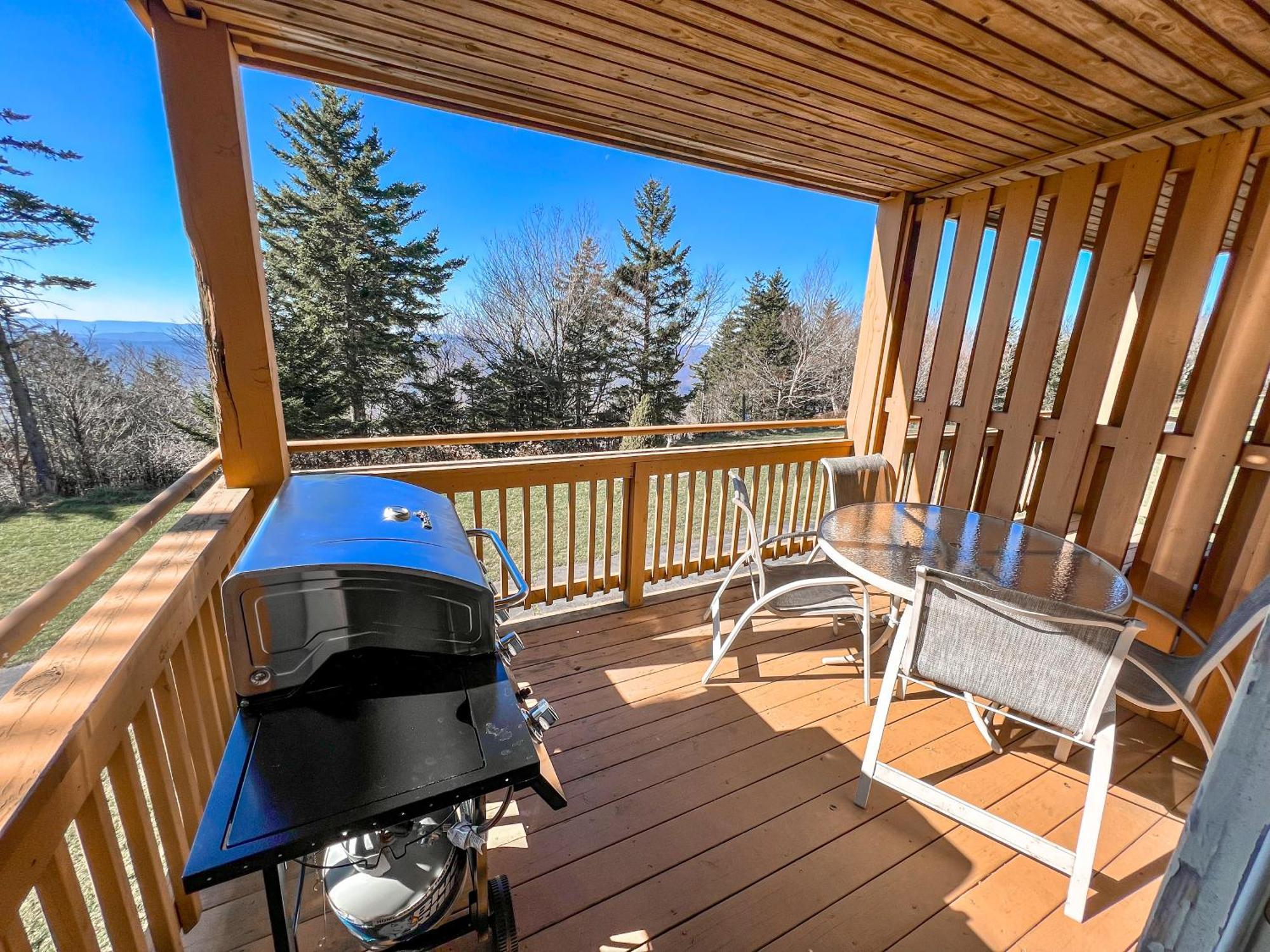 Remodeled Summit Condo At Snowshoe - Modern & Cozy Екстериор снимка